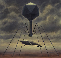 Rule 34 | bacteriophage (virus), flying whale, ka92, minimized, no humans, original, oversized object, surreal, virus, whale