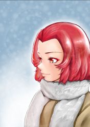 Rule 34 | 10s, 1girl, bad id, bad pixiv id, forehead, from side, girls und panzer, grey scarf, highres, hiraya n, light smile, pink eyes, pink hair, rosehip (girls und panzer), scarf, short hair, smile, solo, upper body, winter, winter clothes