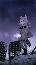 Rule 34 | 1girl, abubu, animal ears, arai-san mansion, backpack, bag, building, commentary, common raccoon (kemono friends), gloves, highres, jacket, lamp, looking at viewer, raccoon ears, raccoon girl, raccoon tail, ruins, star (sky), striped tail, tail