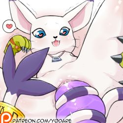 Rule 34 | 1girl, animal ears, artist name, blue eyes, blush, cat ears, cat tail, claws, digimon, digimon (creature), dildo, fangs, female focus, furry, furry female, heart, heart-shaped pupils, masturbation, no humans, object insertion, open mouth, patreon logo, patreon username, pussy, saliva, self-upload, sex toy, smile, solo, speech bubble, spoken heart, spread legs, symbol-shaped pupils, tail, tailmon, trembling, uncensored, vaginal, vaginal object insertion, watermark, whiskers, yodare