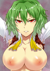 Rule 34 | 1girl, armpits, arms up, ascot, breasts, dress shirt, female focus, green hair, kazami yuuka, large breasts, necktie, nipples, red eyes, segami daisuke, shirt, short hair, solo, sweat, torn clothes, touhou, undone, undone necktie, upper body, vest