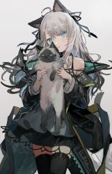 Rule 34 | 1girl, :t, ahoge, animal, animal ears, arknights, bare shoulders, black choker, black coat, black hair, black ribbon, black thighhighs, blush, cat, cat ears, cat girl, cat tail, choker, closed mouth, clothes writing, coat, commentary request, dress, elite ii (arknights), gradient hair, grey background, grey dress, hair ribbon, head tilt, holding, holding animal, holding cat, layered dress, long hair, long sleeves, looking at viewer, mint (arknights), mint (elite ii) (arknights), multicolored hair, nuudoru, off shoulder, open clothes, open coat, ribbon, silver hair, simple background, slit pupils, smile, solo, tail, thighhighs, white background, zettai ryouiki