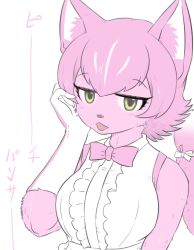 Rule 34 | 1girl, animal nose, body fur, bokoboko (pandagapanda1), bow, bowtie, breasts, elbow gloves, furry, furry female, gloves, kemono friends, kemono friends 3, large breasts, looking at viewer, panther ears, panther girl, panther tail, peach panther (kemono friends), pink fur, shirt, sleeveless, sleeveless shirt, solo