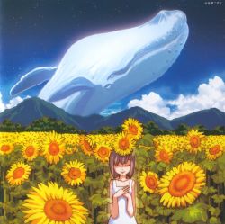 Rule 34 | 1girl, album cover, amano kozue, cloud, cover, day, flower, highres, mountain, original, scan, sky, solo, star (sky), starry sky, sunflower, whale