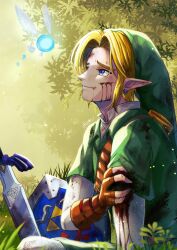 Rule 34 | 1girl, 1other, artist name, blonde hair, blood, blood on clothes, blood on face, blood on hands, blue eyes, earrings, fingerless gloves, forest, gloves, grass, green tunic, hat, highres, hylian shield, jewelry, link, looking at another, male focus, master sword, nature, navi, nintendo, ponytail, sakuya 996, shield, shirt, sitting, smile, the legend of zelda, the legend of zelda: ocarina of time, tree, twitter username, weapon, white shirt