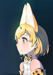 Rule 34 | 10s, 1girl, absurdres, animal ears, blonde hair, bow, bowtie, chromatic aberration, commentary request, crying, crying with eyes open, elbow gloves, from side, gloves, highres, kemono friends, looking to the side, parted lips, serval (kemono friends), serval print, shijie jianfa, shirt, short hair, sleeveless, sleeveless shirt, solo, spoilers, streaming tears, tail, tears, upper body, yellow eyes