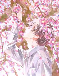 Rule 34 | 1boy, absurdres, acf creator, arm up, bad link, brown hair, closed eyes, collared shirt, day, falling petals, flower, from side, highres, long sleeves, male focus, original, outdoors, painting (medium), parted lips, petals, pink flower, plum blossoms, shirt, short hair, solo, spring (season), standing, traditional media, tree, upper body, watercolor (medium), white shirt