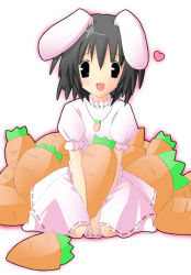 Rule 34 | 1girl, :d, animal ears, carrot, carrot necklace, dress, female focus, food, heart, inaba tewi, itose ikuto, jewelry, looking at viewer, necklace, open mouth, pink dress, rabbit ears, seiza, simple background, sitting, smile, solo, touhou, vegetable, white background