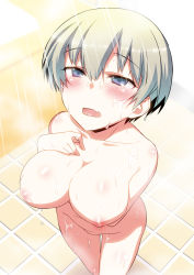 Rule 34 | 1girl, arm under breasts, blue eyes, blush, breasts, collarbone, commentary request, fang, grey hair, hair between eyes, hitotose rin, large breasts, nipples, nude, open mouth, short hair, shower (place), showering, skin fang, solo, tile floor, tiles, uzaki-chan wa asobitai!, uzaki hana, water