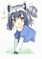 Rule 34 | &gt;:o, 10s, 1girl, :o, animal ears, black gloves, black hair, black ribbon, blue shirt, blush, brown eyes, collar, common raccoon (kemono friends), cropped torso, eyelashes, fang, from side, fur collar, gloves, grey background, grey hair, highres, kanase (mcbrwn18), kemono friends, looking at viewer, motion lines, multicolored hair, neck ribbon, no nose, open mouth, outdoors, puffy short sleeves, puffy sleeves, raccoon ears, raccoon tail, ribbon, shirt, short hair, short sleeves, solo, sparkle, striped tail, tail, tail wagging, translation request, tsurime, v-shaped eyebrows, white hair