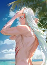 Rule 34 | 1boy, arms up, beach, bishounen, blue sky, body markings, commentary, day, facial mark, from behind, hands in hair, highres, horizon, inuyasha, lens flare, long hair, male focus, median furrow, mmmilk, outdoors, palm tree, pectorals, pointy ears, sesshoumaru, sidepec, signature, sky, solo, toned, toned male, topless male, tree, twitter username, white hair, yellow eyes