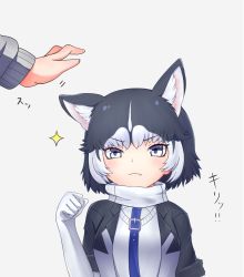 Rule 34 | 10s, 1girl, angry, animal ears, bad id, bad pixiv id, chinese zodiac, commentary request, dog, dog ears, elbow gloves, fang, fang out, gloves, kemono friends, multicolored hair, nina yuki, siberian husky (kemono friends), year of the dog