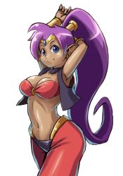 Rule 34 | 1girl, armpits, arms behind head, arms up, bandeau, blue eyes, breasts, cleavage, dark skin, dark-skinned female, earrings, harem outfit, harem pants, jewelry, long hair, midriff, navel, pants, pointy ears, ponytail, purple hair, shantae, shantae (series), smile, solo, tak (takumi fortitude), tight clothes, tight pants, vambraces, very long hair, vest
