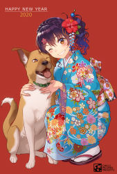 Rule 34 | 1girl, 2020, ;d, artist logo, bell, blue kimono, blush, braid, buckle, collar, commentary request, crown braid, dog, floral print, flower, full body, geta, grin, hair flower, hair ornament, hairclip, happy new year, hibiscus, highres, hug, japanese clothes, jingle bell, kimono, looking at viewer, new year, one eye closed, open mouth, original, pairan, print kimono, purple hair, red background, red eyes, red flower, short sleeves, side ponytail, simple background, smile, solo, squatting, tabi, teeth, tongue, tongue out, wavy hair, white legwear, yukata
