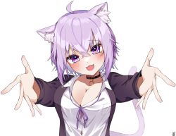 Rule 34 | 1girl, :3, ahoge, animal collar, animal ear fluff, animal ears, black collar, black jacket, blue hair, blush, breast pocket, breasts, button gap, cat ears, cat girl, cat tail, choker, cleavage, collar, collarbone, collared shirt, colored inner hair, crossed bangs, dress shirt, fangs, glint, hair between eyes, head tilt, highres, hololive, hololive gamers, imminent hug, jacket, large breasts, long bangs, long sleeves, looking at viewer, loose neck ribbon, multicolored hair, neck ribbon, nekomata okayu, nekomata okayu (oversized shirt), no bra, open clothes, open hands, open jacket, open mouth, partially unbuttoned, pocket, purple eyes, purple hair, purple ribbon, reaching, reaching towards viewer, ribbon, shirt, short hair, simple background, smile, solo, tail, tsurime, upper body, virtual youtuber, white background, white shirt, wing collar, zzz (illustr speaker)