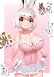 Rule 34 | !, !!, ..., 6+girls, :3, :c, :q, alternate breast size, animal ears, arctic hare (kemono friends), bare shoulders, bikini, bikini skirt, border, bow, breasts, brown eyes, brown hair, casual one-piece swimsuit, chibi, choker, cleavage, closed eyes, closed mouth, collarbone, covered navel, cowboy shot, dark-skinned female, dark skin, european hare (kemono friends), ezo mountain hare (kemono friends), feeding, food, grey hair, hair between eyes, hair ornament, hair over one eye, hairband, heart, heart hair ornament, highres, holding, holding food, holding notebook, holding pen, japanese hare (kemono friends), kemono friends, kemono friends 3, large breasts, licking, long hair, looking at another, looking at viewer, medium hair, mountain hare (kemono friends), multicolored hair, multiple girls, notebook, o o, official alternate costume, one-piece swimsuit, outside border, outstretched arms, outstretched hand, own hands together, palms together, parted bangs, pen, praying, rabbit ears, rabbit girl, rabbit tail, scrunchie, smile, solo focus, spoken ellipsis, strap gap, swimsuit, tail, taking notes, tongue, tongue out, tsukuyomi shinshi (kemono friends), two-tone hair, white border, white hair, wrist scrunchie, yonkuron