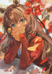 Rule 34 | 1girl, absurdres, animal ears, autumn, autumn leaves, blue eyes, brown hair, casual, closed mouth, falling leaves, ginkgo leaf, highres, holding, holding leaf, horse ears, jacket, leaf, long hair, long sleeves, looking at viewer, maruzensky (umamusume), open clothes, open jacket, red jacket, smile, solo, umamusume, upper body, yoshiaki (yosiaki ml)