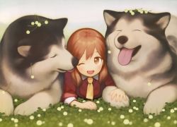 Rule 34 | ;&lt;, absurdres, ahoge, alaskan malamute, animal ears, blush, brown eyes, collar, dog, dog ears, flower, gayarou, hair between eyes, highres, holding, looking at viewer, non-web source, open mouth, original, red hair, red shirt, scan, shirt, sleeves rolled up, smile, tongue, tongue out, white background, white collar, yellow neckwear