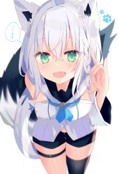 Rule 34 | 1girl, ahoge, animal ear fluff, animal ears, black shorts, black thighhighs, blue neckwear, blurry, blush, breasts, commentary request, depth of field, detached sleeves, fang, fox ears, fox girl, fox tail, green eyes, hair between eyes, highres, hololive, long hair, looking at viewer, open mouth, shirakami fubuki, shirakami fubuki (1st costume), shirt, short shorts, shorts, silver hair, simple background, single thighhigh, sinobi illust, sleeveless, sleeveless shirt, solo, tail, thighhighs, virtual youtuber, white background, white shirt