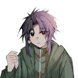 Rule 34 | 1boy, :|, black eyes, black hair, chinese commentary, closed mouth, commentary request, green jacket, heterochromia, highres, holding eyepatch, hood, hood down, hooded jacket, jacket, long sleeves, looking at viewer, male focus, moyudy, multicolored hair, mutsushika misumi, open clothes, open jacket, parted bangs, pink hair, red eyes, saibou shinkyoku, short hair, simple background, solo, split-color hair, two-tone hair, white background