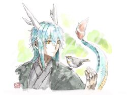 Rule 34 | 1boy, animal, animal on shoulder, bird, bird on shoulder, blue hair, closed mouth, commentary request, dragon boy, eastern dragon horns, eastern dragon tail, green background, green haori, grey kimono, hand up, haori, highres, hotathino, japanese clothes, kimono, long hair, looking to the side, male focus, original, solo, upper body, yellow eyes