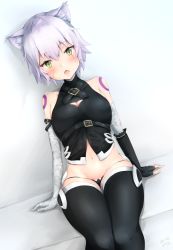 Rule 34 | 1girl, absurdres, animal ears, arm belt, arms at sides, bandaged arm, bandages, bare shoulders, belt buckle, black panties, black shirt, black thighhighs, blush, breasts, buckle, cat ears, cleavage, commentary, covered collarbone, dutch angle, facial scar, fang, fate/apocrypha, fate (series), fingerless gloves, gloves, green eyes, grey hair, groin, hair between eyes, head tilt, highres, jack the ripper (fate/apocrypha), legs together, looking at viewer, lowleg, lowleg panties, mabotofu, medium breasts, navel, open mouth, panties, scar, scar across eye, scar on cheek, scar on face, shirt, short hair, shoulder tattoo, signature, single glove, sitting, sleeveless, sleeveless shirt, slit pupils, solo, tattoo, thighhighs, tsurime, turtleneck, underwear