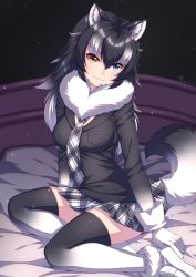 Rule 34 | 10s, 1girl, animal ears, bed, black hair, blue eyes, breast pocket, breasts, dated, fur collar, gloves, gradient legwear, grey wolf (kemono friends), heterochromia, highres, kemono friends, long hair, long sleeves, looking at viewer, medium breasts, multicolored clothes, multicolored hair, multicolored legwear, necktie, on bed, pocket, signature, sitting, skirt, smile, solo, tail, two-tone hair, wolf ears, wolf tail, yellow eyes, zerg309