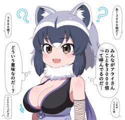 Rule 34 | 1girl, :d, ?, animal ears, black dress, black gloves, bob cut, breasts, brown eyes, common raccoon (kemono friends), dress, elbow gloves, fang, female focus, fishnet gloves, fishnets, fur collar, gloves, grey hair, japanese clothes, kemono friends, large breasts, looking to the side, motion lines, ninja, obi, open mouth, raccoon ears, ransusan, sash, short hair, sleeveless, sleeveless dress, smile, solo, translated, upper body