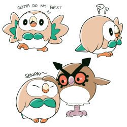Rule 34 | ?, ??, animal focus, bird, commentary request, creatures (company), english text, game freak, gen 2 pokemon, gen 7 pokemon, hoothoot, mary cagle, nintendo, no humans, owl, headpat, pokemon, pokemon (creature), rowlet, simple background, white background