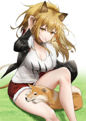Rule 34 | 1girl, animal, animal ears, animal on lap, arknights, black choker, black jacket, black nails, blonde hair, breasts, candy, choker, commentary, dog, food, fur-trimmed jacket, fur trim, grass, green eyes, hand in own hair, jacket, knee up, large breasts, lion ears, lion girl, lion tail, lollipop, long hair, long sleeves, looking at viewer, messy hair, mouth hold, nail polish, on lap, open clothes, open jacket, red shorts, ri qing, shiba inu, shirt, shorts, sidelocks, siege (arknights), sitting, solo, tail, thighs, white shirt