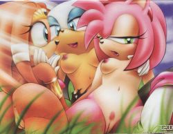 Rule 34 | amy rose, anus, artist request, blue eyes, breasts, cleft of venus, furry, green eyes, highres, medium breasts, multiple girls, nipples, open mouth, pink hair, pussy, rouge the bat, saga, smile, sonic (series), sonic (series), tail, tikal the echidna