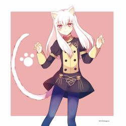 Rule 34 | 1girl, animal ears, blue pantyhose, cat ears, cat girl, cat tail, closed mouth, colikaigetu, female focus, fire emblem, fire emblem: three houses, garreg mach monastery uniform, highres, long hair, long sleeves, lysithea von ordelia, nintendo, pantyhose, pink background, pink eyes, simple background, smile, solo, standing, tail, twitter username, uniform, white hair