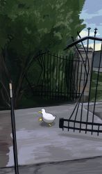 Rule 34 | bird, diva (hyxpk), duck, from side, gate, highres, little nuns (diva), meme, no humans, original, outdoors, photo-referenced, tree