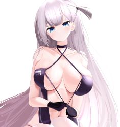 Rule 34 | 1girl, absurdres, azur lane, bare arms, bare shoulders, black choker, black gloves, blue eyes, breasts, center opening, choker, clothing cutout, commentary, criss-cross halter, dress, gloves, halterneck, highres, large breasts, long hair, looking at viewer, mole, mole under eye, navel, navel cutout, nicorima, one side up, race queen, revealing clothes, shoukaku (azur lane), shoukaku (sororal wings) (azur lane), silver hair, simple background, sleeveless, sleeveless dress, solo, thighhighs, white background, white thighhighs