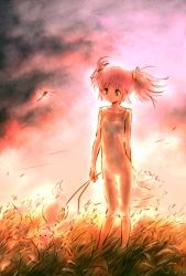 Rule 34 | 10s, 1girl, :3, bug, cattail, collarbone, dragonfly, dress, field, holding, insect, kaname madoka, kyubey, mahou shoujo madoka magica, mahou shoujo madoka magica (anime), pink hair, plant, red eyes, see-through, solo, standing, sundress, thigh gap, twintails, wind, yoshinogai