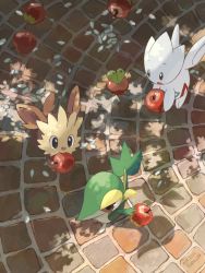 Rule 34 | apple, applin, brown eyes, commentary, creatures (company), dated, day, fang, food, from above, fruit, game freak, gen 2 pokemon, gen 5 pokemon, gen 8 pokemon, highres, holding, holding food, holding fruit, lillipup, mokuzou (moku ssbu), mouth hold, nintendo, no humans, open mouth, outdoors, petals, pokemon, pokemon (creature), snivy, symbol-only commentary, togetic, twitter username