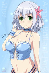Rule 34 | 10s, 1girl, amagi brilliant park, bad id, bad pixiv id, blue hair, breasts, cleavage, earrings, flower, green eyes, hair flower, hair ornament, jewelry, large breasts, looking at viewer, midriff, muse (amaburi), navel, smile, solo, tsuti