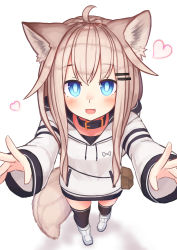 Rule 34 | 1girl, :d, ahoge, animal ear fluff, animal ears, black thighhighs, blue eyes, blush, boots, brown hair, commentary request, drawstring, fang, foreshortening, hair between eyes, hair ornament, hairclip, heart, highres, hood, hood down, hoodie, long hair, long sleeves, looking at viewer, open mouth, original, outstretched arms, reitou mikan, sleeves past wrists, smile, solo, standing, tail, thighhighs, thighhighs under boots, white background, white footwear, white hoodie