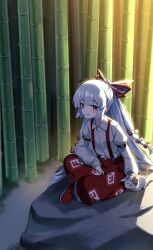 Rule 34 | 1girl, absurdres, bamboo, bamboo forest, blush, bow, cat, collared shirt, commentary request, forest, fujiwara no mokou, full body, hair bow, highres, indian style, long hair, long sleeves, nature, outdoors, pants, parted lips, petting, red bow, red eyes, red footwear, red pants, rock, shirt, shoes, sitting, sitting on rock, smile, solo, suikario, suspenders, touhou, very long hair, white bow, white hair, white shirt