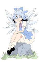 Rule 34 | 1girl, banana takemura, bloomers, blue bow, blue dress, blue eyes, blue hair, blue ribbon, bored, bow, cirno, dress, full body, grass, hair bow, hand on own chin, highres, ice, ice wings, legs together, mary janes, puffy short sleeves, puffy sleeves, red ribbon, ribbon, rock, shoes, short hair, short sleeves, sitting, sitting on object, socks, solo, touhou, underwear, white background, white bloomers, white socks, wing collar, wings