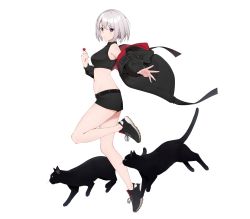 Rule 34 | 1girl, absurdres, animal, ao (aokisora ao), bare shoulders, belt, black cat, black footwear, black jacket, black shirt, black shorts, breasts, candy, cat, cat day, crop top, food, from side, full body, grey hair, hand up, highres, holding, holding candy, holding food, holding lollipop, jacket, leg up, lollipop, long sleeves, looking at viewer, looking to the side, medium breasts, micro shorts, midriff, navel, off shoulder, open clothes, open jacket, original, outstretched arm, parted lips, pink eyes, shirt, shoes, short hair, short shorts, shorts, simple background, sleeveless, sleeveless shirt, sneakers, solo, stomach, thighs, white background