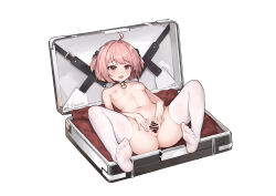 Rule 34 | 1girl, :d, ahoge, bag, bar censor, black collar, blonde hair, blush, breasts, breasts apart, censored, collar, dot nose, fang, feet, fritia ignis, full body, highres, in bag, in container, looking at viewer, multicolored hair, navel, nipples, nude, open mouth, pink eyes, pink hair, pussy, short hair, sidelocks, small breasts, smile, snowbreak: containment zone, soles, solo, spread legs, spread pussy, stmast, stomach, streaked hair, suitcase, thighhighs, toes, white thighhighs