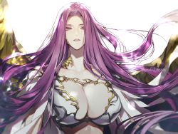 Rule 34 | 1girl, breasts, cleavage, collarbone, commentary, fate/grand order, fate (series), gorgon (fate), gorgon (third ascension) (fate), highres, huge breasts, koshika rina, long hair, looking at viewer, medusa (fate), medusa (rider) (fate), parted lips, purple eyes, purple hair, rider, scales, simple background, slit pupils, solo, upper body, very long hair, white background, wings
