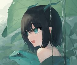 Rule 34 | 1girl, :d, bad link, black hair, chorefuji, commentary request, day, frog, from side, green eyes, green shirt, hair between eyes, horns, leaf, medium hair, off-shoulder shirt, off shoulder, open mouth, original, outdoors, pointy ears, pointy nose, shirt, smile, tongue, upper body, water drop, water stream