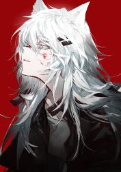 Rule 34 | 1girl, animal ears, arknights, black jacket, blood, blood on face, empty eyes, grey eyes, highres, jacket, laplace&#039;s demon (rozen maiden), long hair, looking away, min (120716), red background, solo, white hair, wolf ears