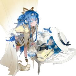 Rule 34 | 2girls, arknights, astesia (arknights), astesia (starseeker) (arknights), astgenne (arknights), astgenne (her aspiration) (arknights), bird, bird tail, black ribbon, blue eyes, blue hair, book, bouquet, bow, bracelet, bright pupils, brown jacket, cat, chair, dress, flower, from above, gloves, hair bow, hair ribbon, hand on own hip, highres, holding, holding bouquet, jacket, jewelry, lab coat, liliyfox, long hair, long sleeves, looking at viewer, multiple girls, open book, parted lips, ponytail, puffy short sleeves, puffy sleeves, ribbon, short sleeves, siblings, sisters, sitting, smile, standing, tail, white background, white dress, white hair, white pupils, wide brim