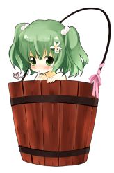 Rule 34 | 1girl, blush, bucket, female focus, flower, green eyes, green hair, heart, in bucket, in container, kisume, kurot, ribbon, solo, touhou, twintails, white background