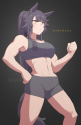 Rule 34 | 1girl, abs, animal ears, bandaid, bandaid on face, bandaid on nose, bare arms, bare shoulders, black background, black hair, black shorts, breasts, clenched hands, commentary request, crop top, highres, horse ears, large breasts, long hair, midriff, mukakin, narita brian (umamusume), navel, short shorts, shorts, solo, sports bra, standing, stomach, tail, thighs, umamusume, very long hair, yellow eyes