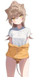 Rule 34 | 1girl, animal ears, blush, breasts, brown hair, buruma, closed mouth, clothes pull, gym shirt, gym uniform, hair between eyes, head tilt, highres, indie virtual youtuber, jacket, jacket pull, k mugura, lion ears, lion girl, lion tail, long hair, looking at viewer, ponytail, rurudo lion, shirt, simple background, small breasts, solo, standing, tail, track jacket, virtual youtuber, white background, white shirt, yellow buruma, yellow eyes, yellow jacket
