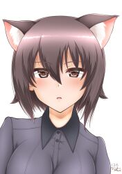 Rule 34 | 1girl, absurdres, animal ears, artist name, blush, brown eyes, brown hair, cat ears, commentary, dated, dress shirt, girls und panzer, grey shirt, highres, io-catalyst, kuromorimine school uniform, long sleeves, looking at viewer, multiple girls, nishizumi maho, parted lips, school uniform, shirt, short hair, signature, simple background, solo, upper body, white background, wing collar